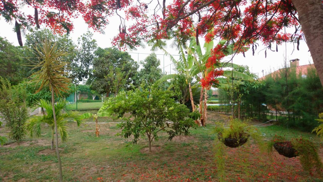 Casa Em Condominio Tranquilo De Gravata Buitenkant foto